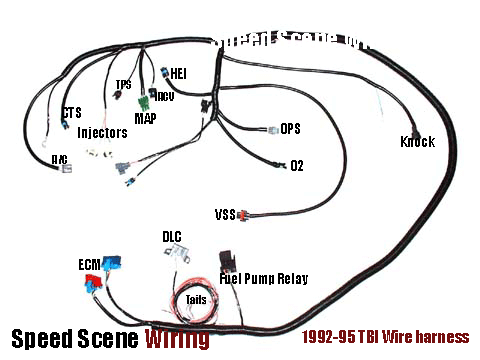 TBI Wiring -1995 TBI Wire Harness - Click Image to Close