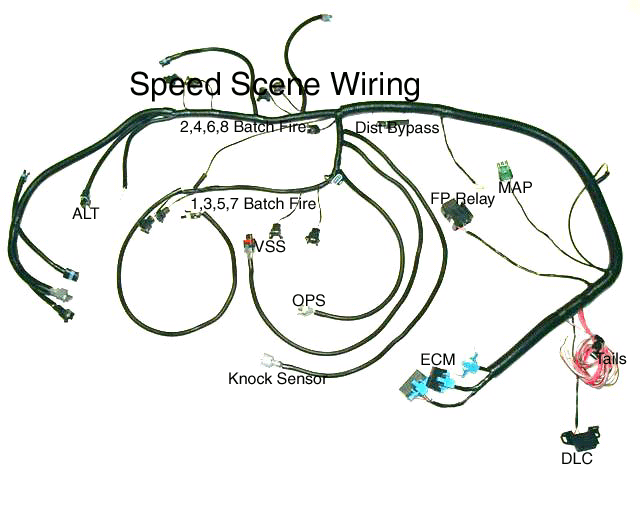 90-91 TPI Wire Harness Speed Density