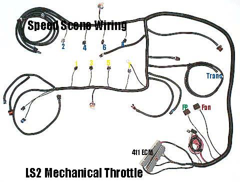 Ls2 Wiring Diagram
