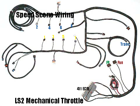 Cable Throttle LSx Vortec 24x Engine Harness by CPWCurrent Performance  Wiring