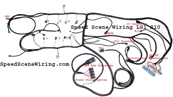 SSW | Standalone GM Wire Harness | LS Wiring | LS Wirng Harness | LS1