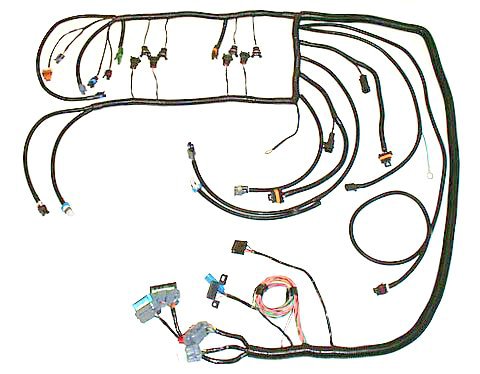 Ls1 Wiring Harness Diagram from speedscenewiring.com